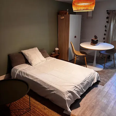 アパート Cosy Et Renove En Hyper Centre De De Marsan *